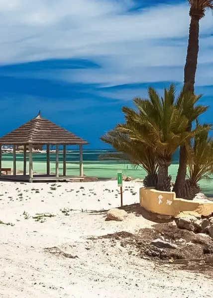 Balloons Event Show-Tunisia 2025 à Djerba