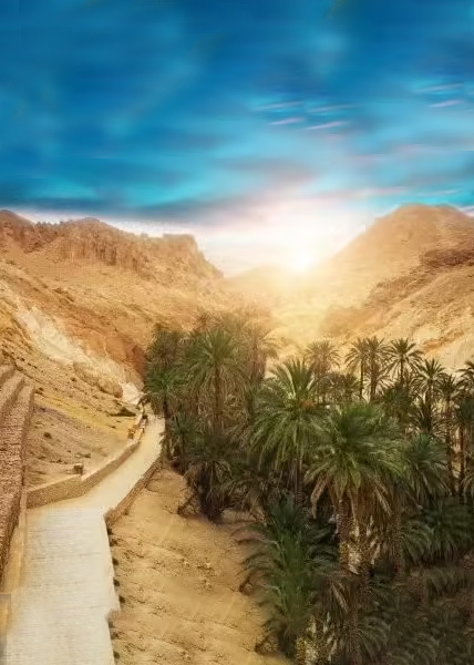 Balloons Event Show-Tunisia 2025 à Tozeur