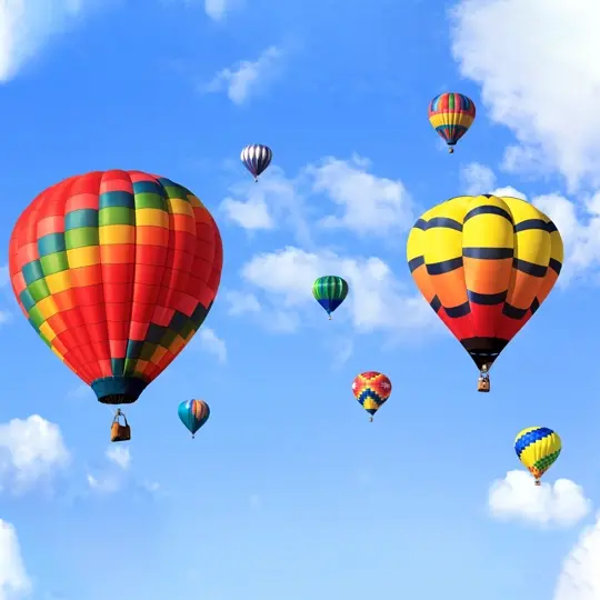 activites festival ballons : air show